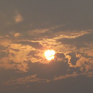 IMG 0342
