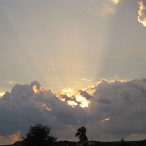 IMG 0381