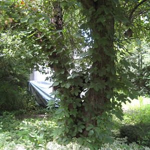 IMG 1512