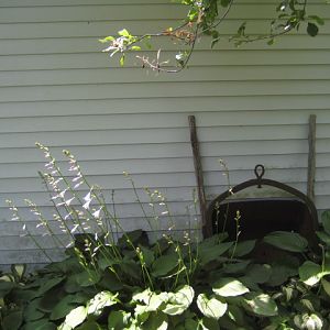 IMG 1514