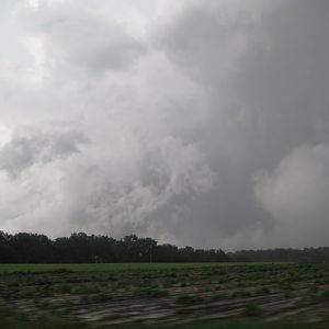 IMG 1863