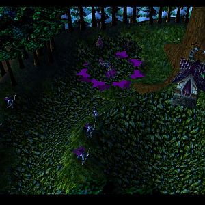 Night Elves