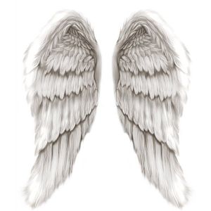 Angel Wings ;)