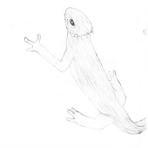 It came out a little fuzzy. What a cute newt! Right?
