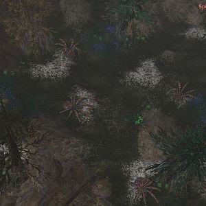 WIP: Spiderlair (Dark Forest)