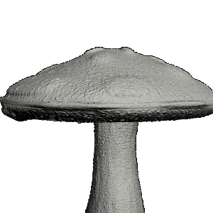 mushroom
