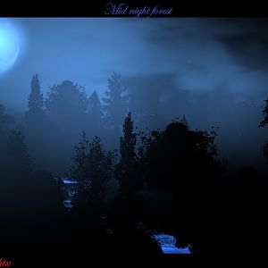 Midnight Forest
-Random Terrain
-Inspired By Kenji