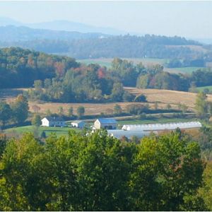 Our Farm