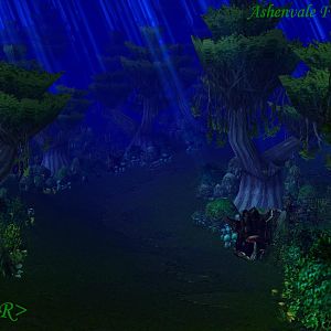Ashenvale Forest