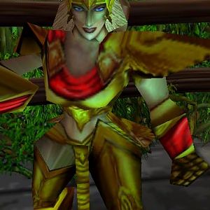 Paladin