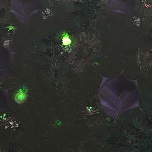 Forsaken Camp in the Dark Forest (WIP)