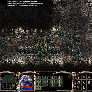 WBC DarkElves
Preparation for Spider Swarm assault