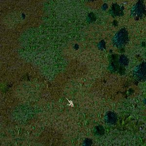 showcasing random terrain generator: towns near a small wood