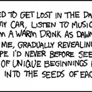 before sunrise