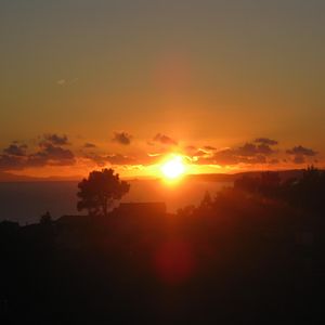 IMG 0498