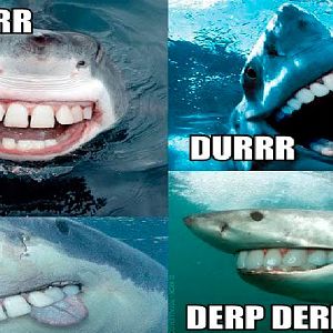 Derp.