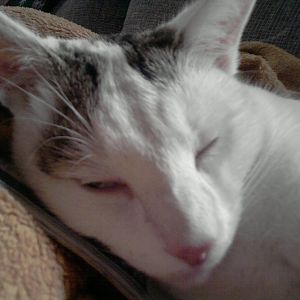 Wazz up?