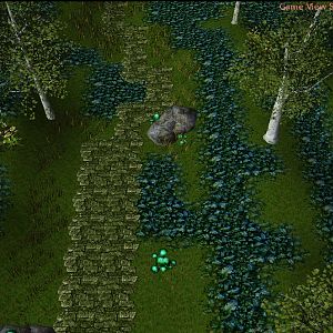 BirchGarden1