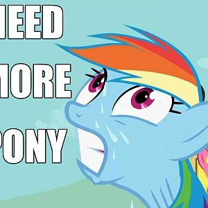 need moar pony