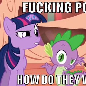 ponies how 2 work