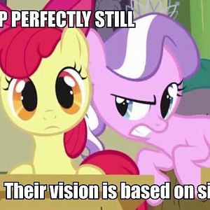 vision based on sight