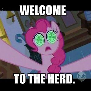 welcome to the herd