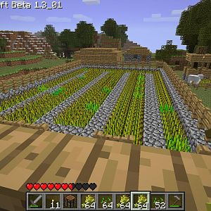 part of my village. the farm :D