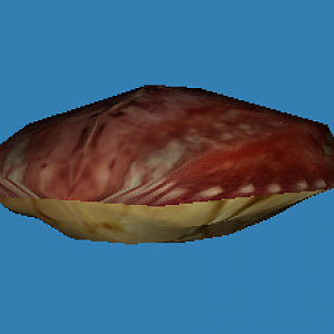 CrabWip
