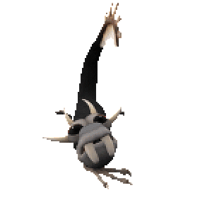 Cute gargoyle surprised