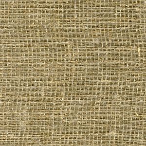 6481canvas texture