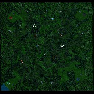 BewitchedForest