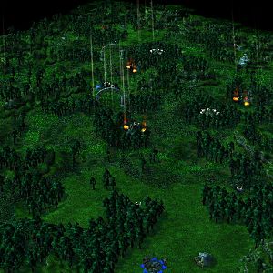 Bewitched Forest angled view