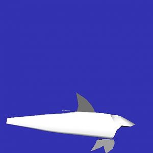 Great White Shark