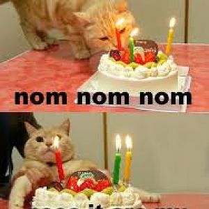 Nom nom nom Cake