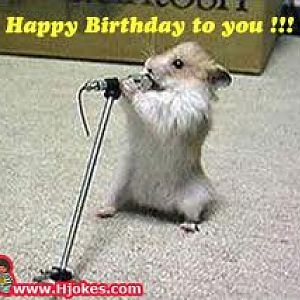 Happy Birthday songs