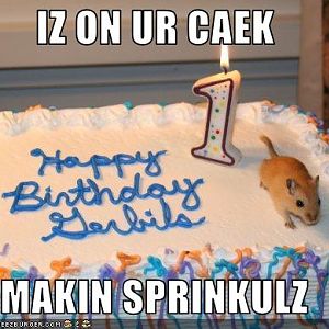 I made you a cake, but then this happened...