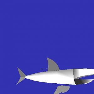 Great White Shark Updated