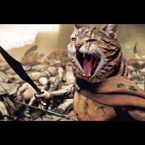 Spartan Cat goes to war against the ponies.