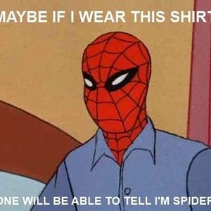 So Idiot Disguise