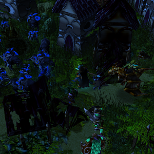 Dragram walked few steps forward and noticed a Moonlight regiment. The night elf, seeming to lead the regiment stared at Dragram, without a word, not