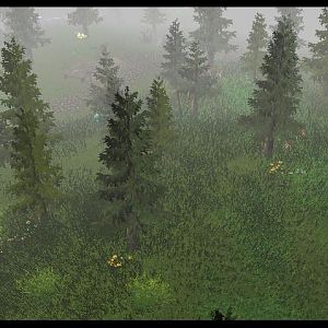 Terrain02