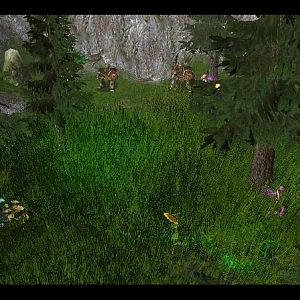 Terrain05