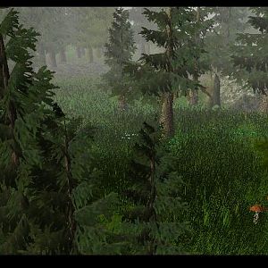 Terrain08