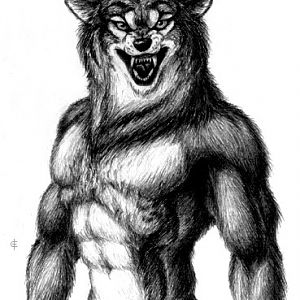 Ripped