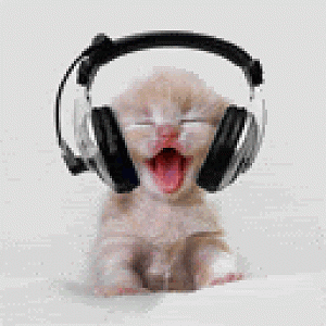 headphonekitty. ( woo! )