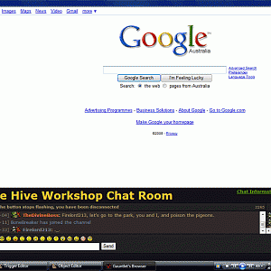 This is my web browser, built in VB2008. It has two sections, one lower and one upper, which are used as different windows. I mostly use the bottom on
