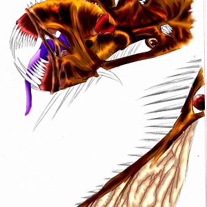 creature 41 color