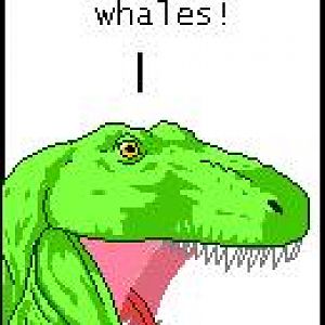 zombie. whales. epic.