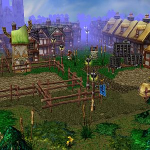 the Village