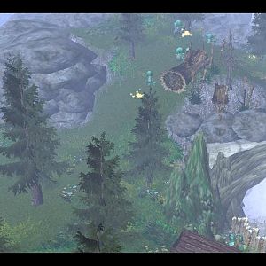 Terrain11